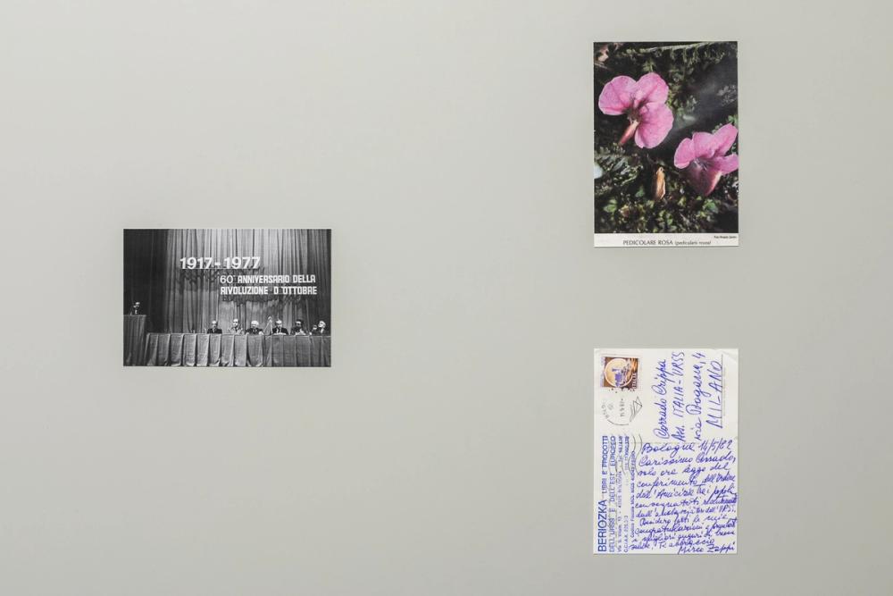 Vladislav Shapovalov, Image Diplomacy, Installation View at ar/ge kunst. Photo Sorvillo, 2017 ©argekunst, Bolzano