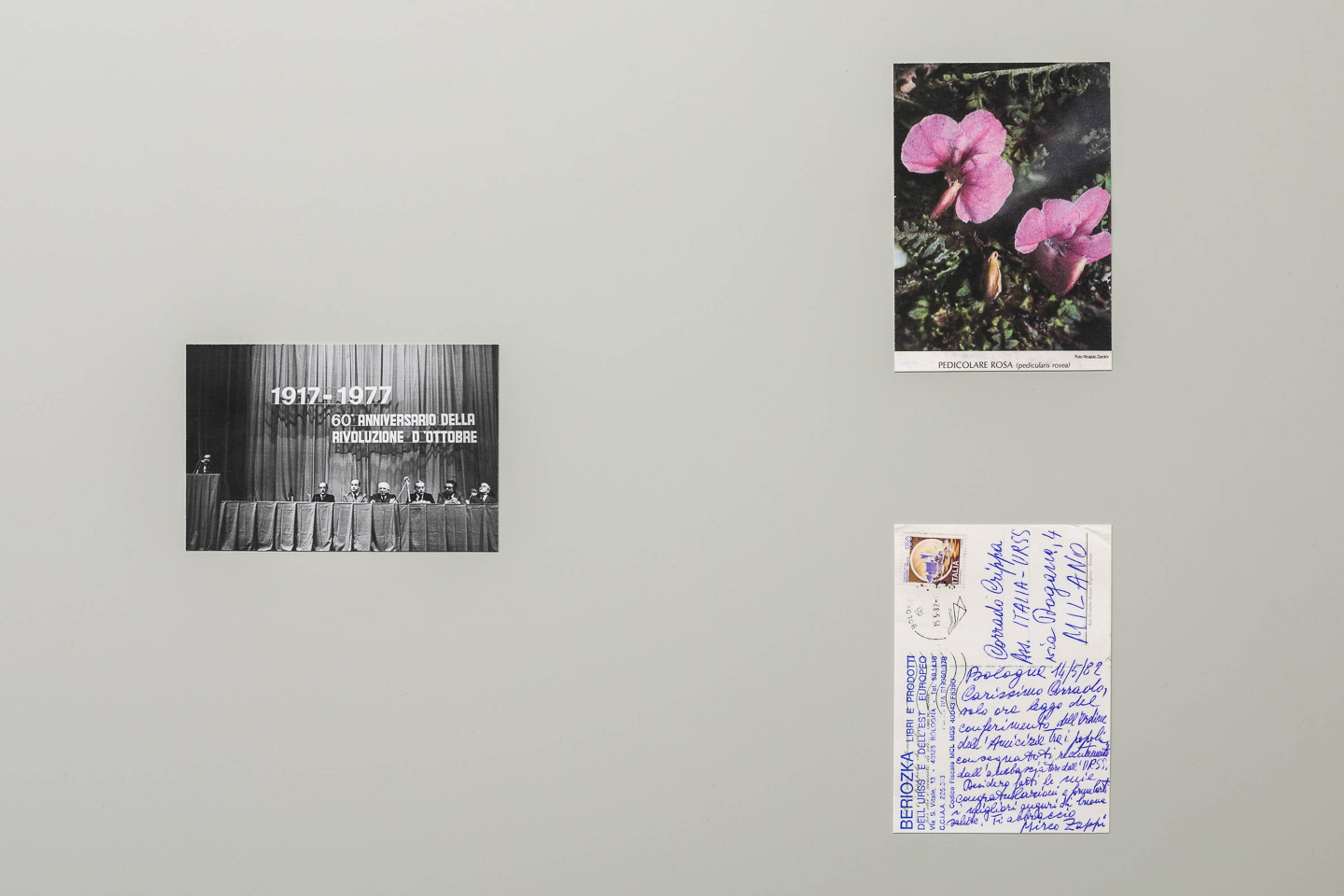 Vladislav Shapovalov, Image Diplomacy, Installation View at ar/ge kunst. Photo Sorvillo, 2017 ©argekunst, Bolzano