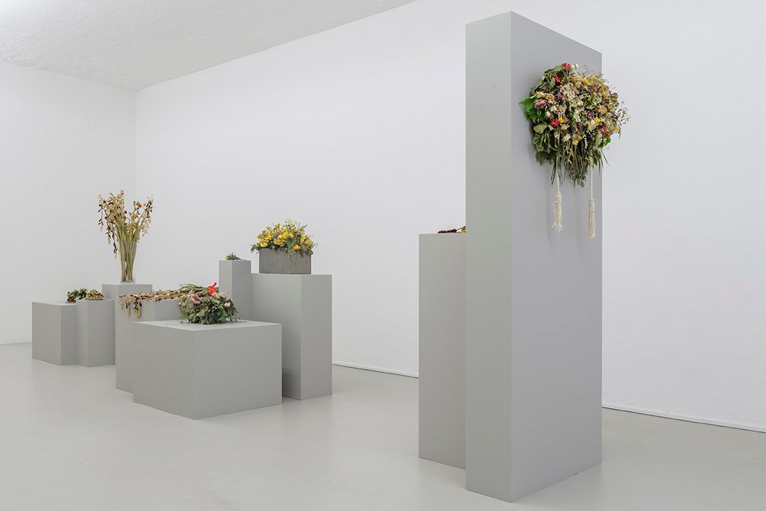 Kapwani Kiwanga, Flowers for Africa, 2014 – in progressCut flowers. Installation view (22.06.17), photo Guadagnini ©argekunst