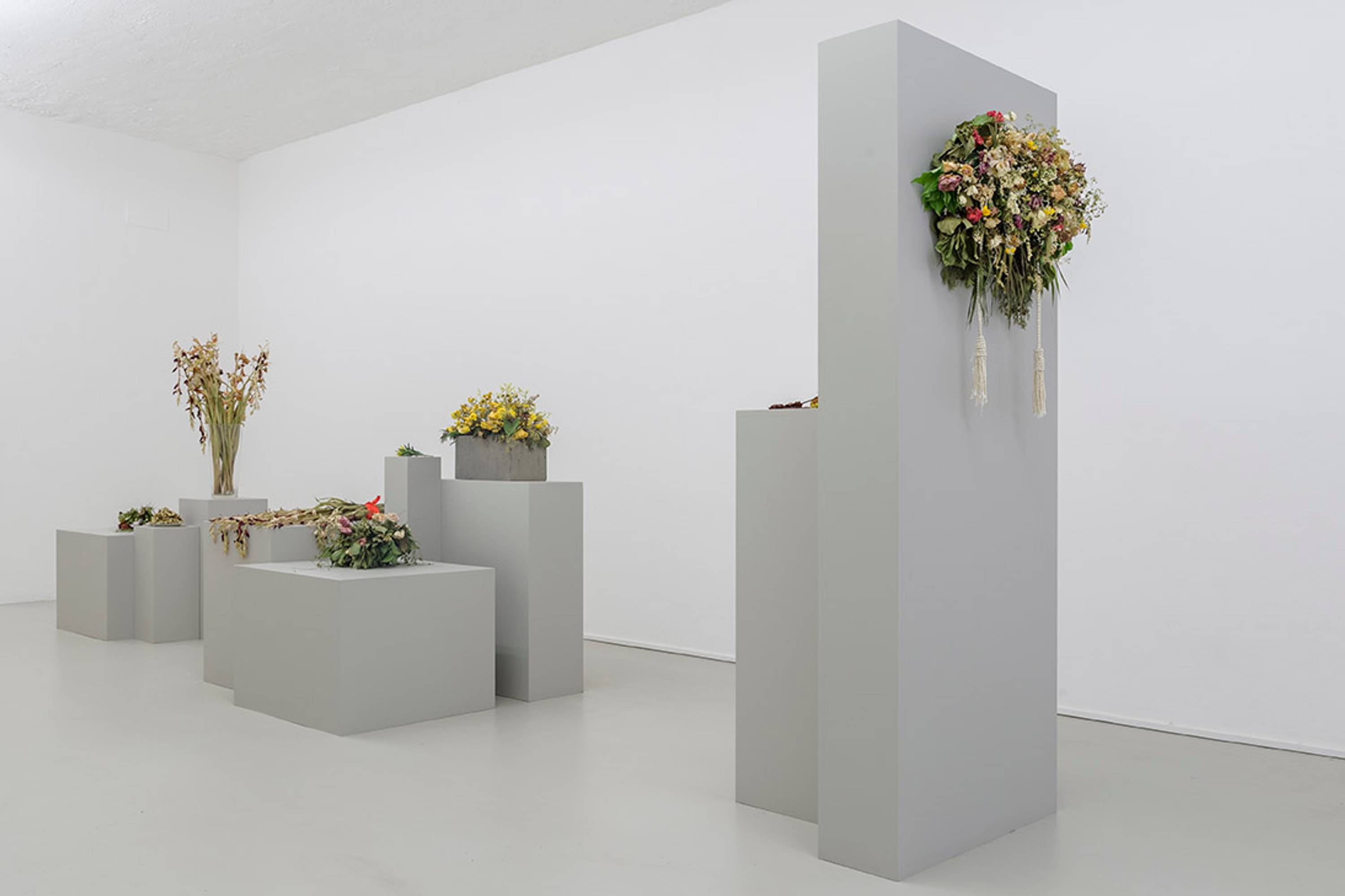 Kapwani Kiwanga, Flowers for Africa, 2014 – in progressCut flowers. Installation view (22.06.17), photo Guadagnini ©argekunst