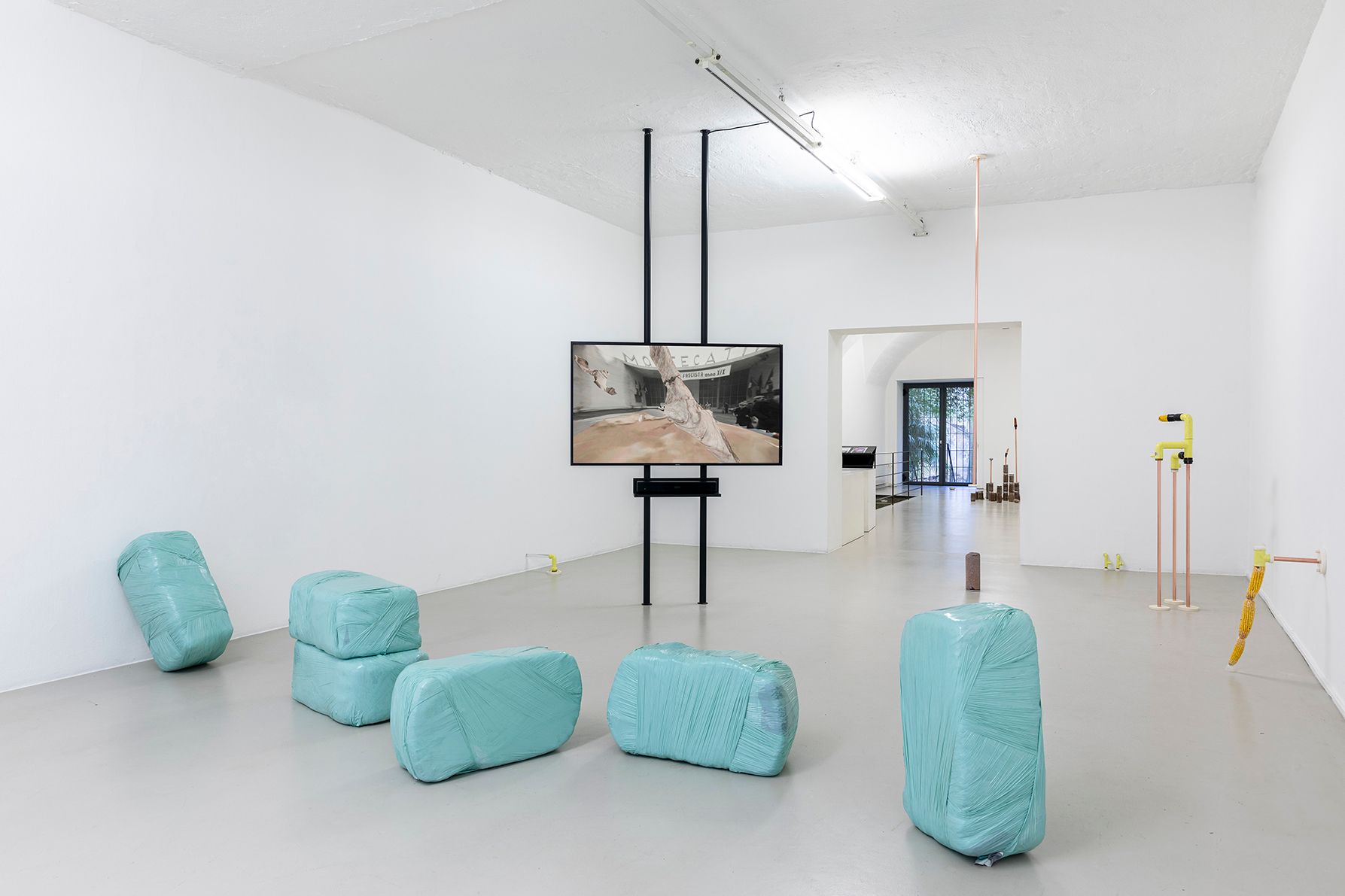 Katrin Hornek, Plant Plant, exhibition view, ©ar/ge kunst and BAU, photo Luca Guadagnini, 2021