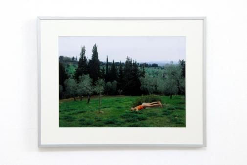 Exhibiton view, go climb the mountains, I tell you, and eat strawberries, 2006