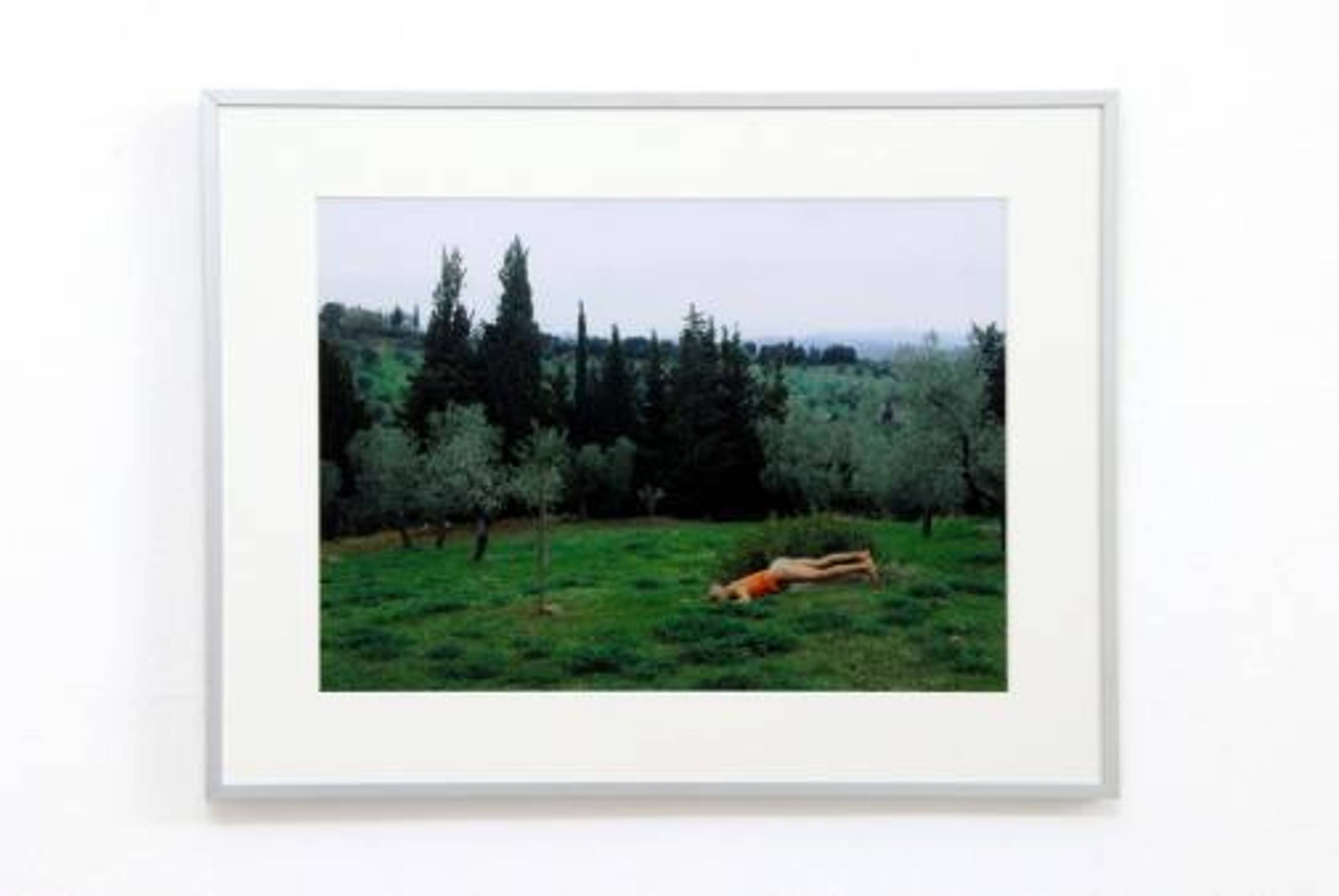 Exhibiton view, go climb the mountains, I tell you, and eat strawberries, 2006