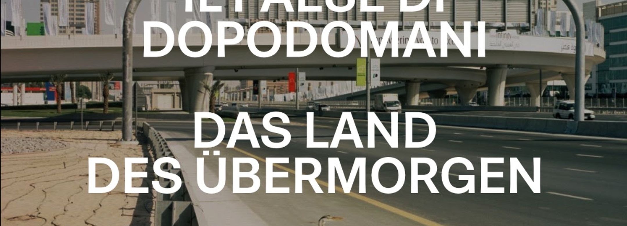 Stefano Graziani, "Dubai" (detail), 2008