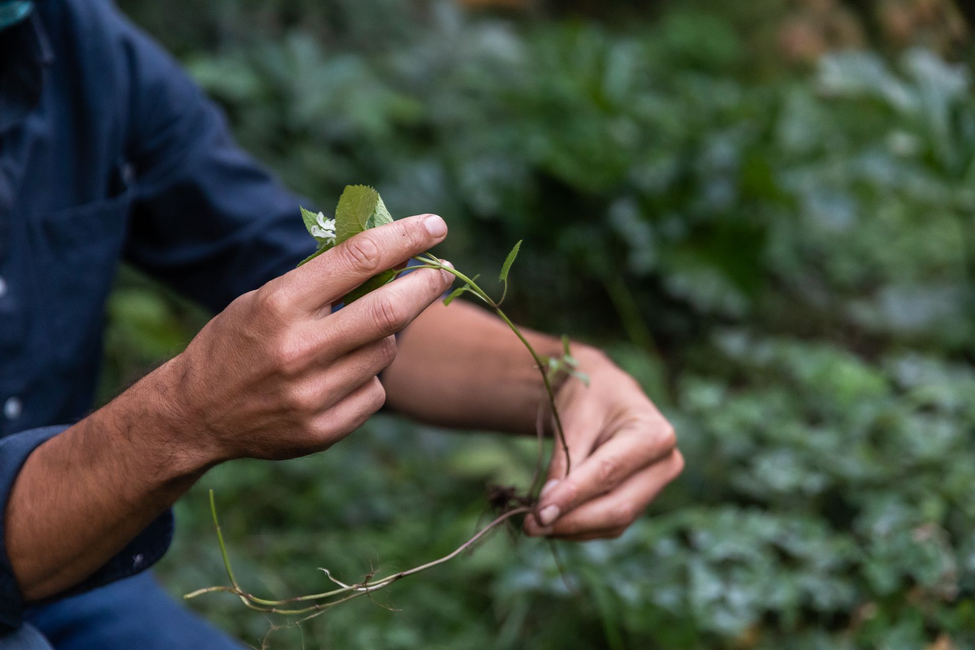 ©ar/ge kunst, Foto Luca Guadagnini, 2020