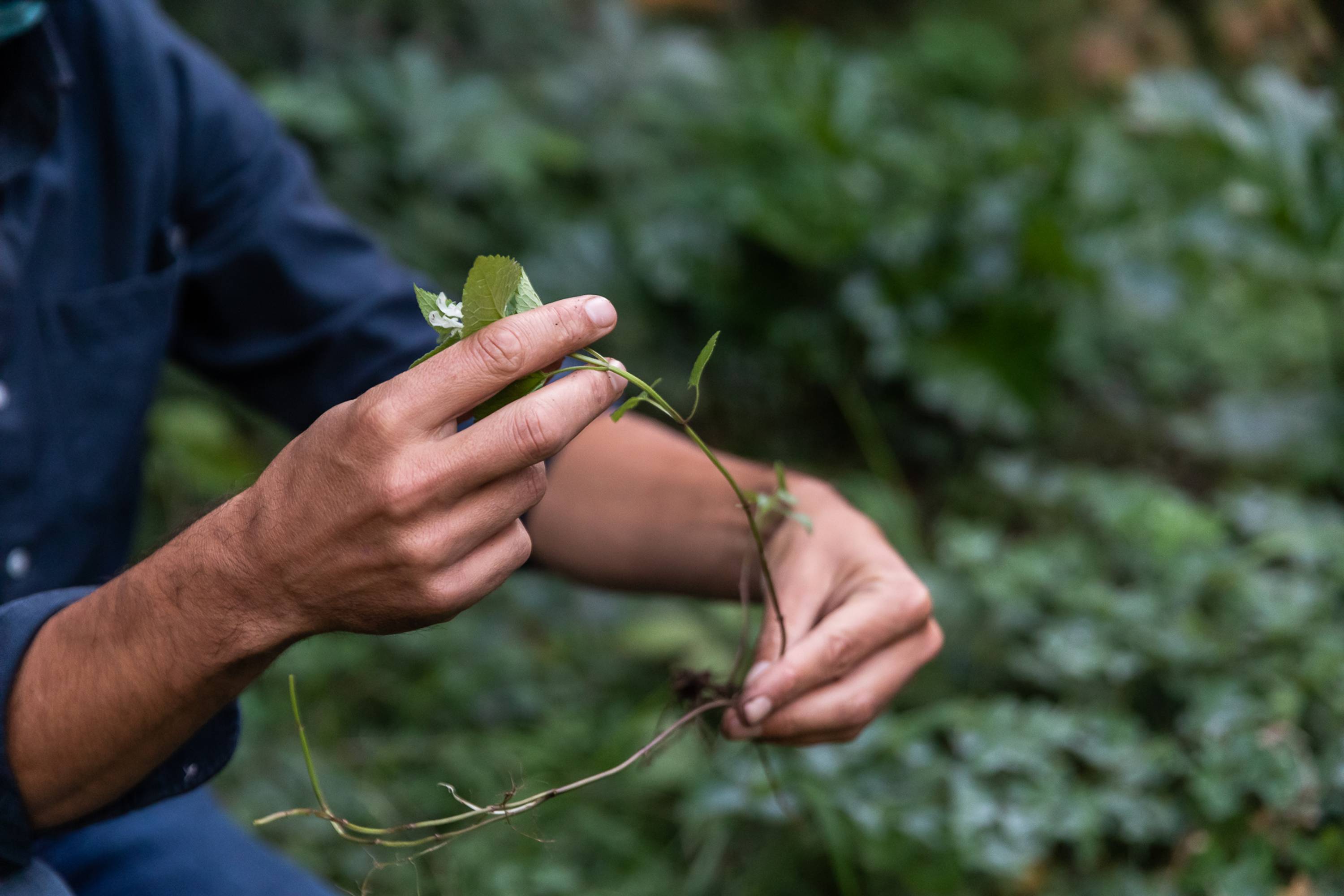 ©ar/ge kunst, Foto Luca Guadagnini, 2020