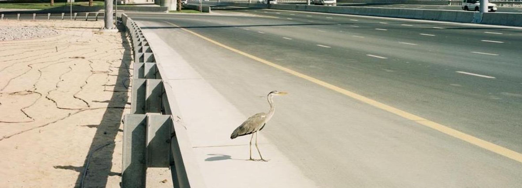 Stefano Graziani, "Dubai" (detail), 2008