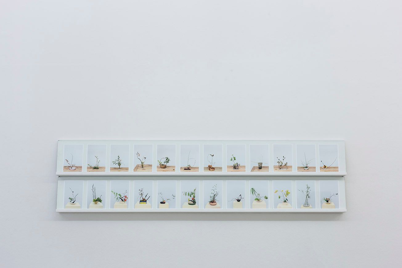 Martina della Valle in collaboration with Rie Ono, One flower one leaf #3, Serie fotografica, 2017. Photo Guadagnini ©argekunst