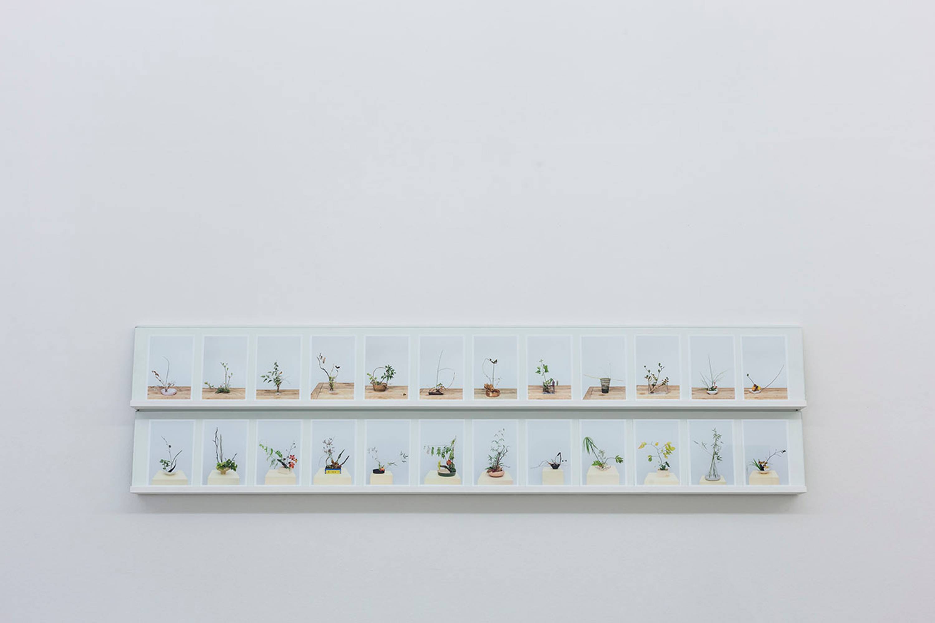 Martina della Valle in collaboration with Rie Ono, One flower one leaf #3, Serie fotografica, 2017. Photo Guadagnini ©argekunst