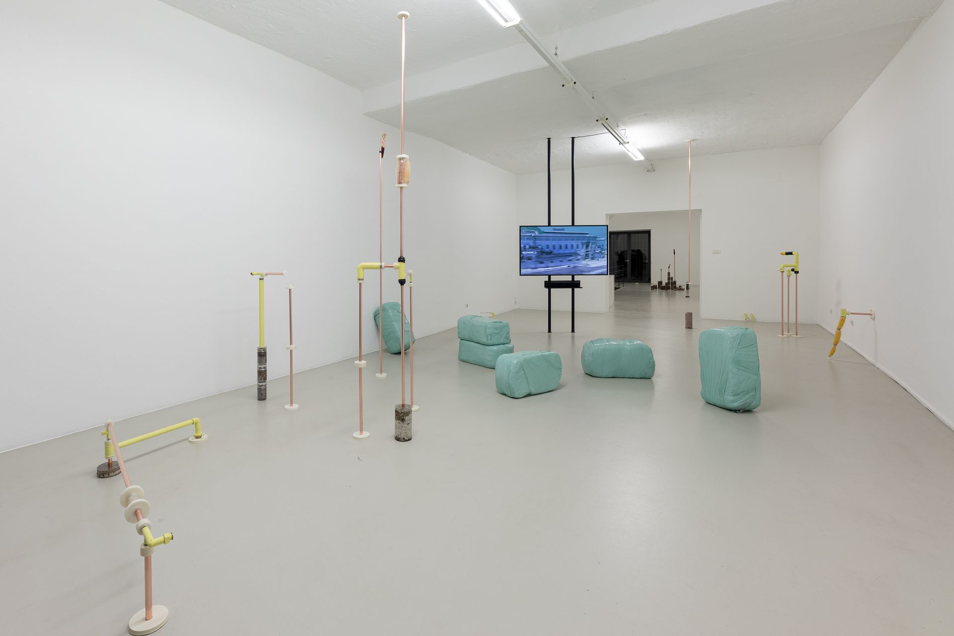 Katrin Hornek, Plant Plant, exhibition view, ©ar/ge kunst and BAU, photo Luca Guadagnini, 2021