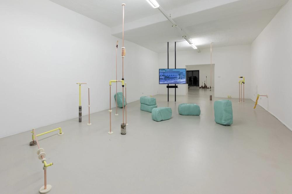 Katrin Hornek, Plant Plant, exhibition view, ©ar/ge kunst and BAU, photo Luca Guadagnini, 2021