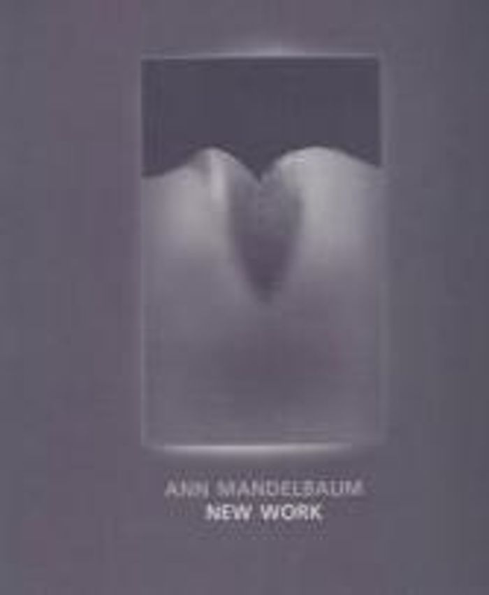 ANN MANDELBAUM, NEW WORK