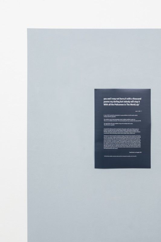 David Horvitz – you and I may not hurry it with a thousand poems my darling but nobody will stop it With all the Policemen in The World.zip*, (2012 – ?).Poster und Internetfile, Foto Guadagnini e Sorvillo ©argekunst