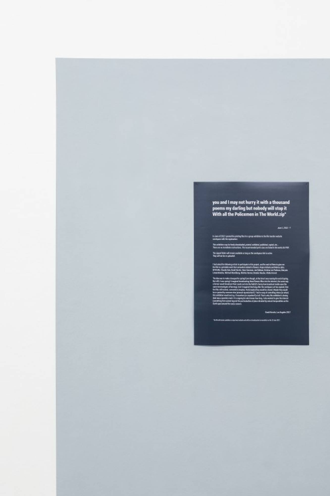 David Horvitz – you and I may not hurry it with a thousand poems my darling but nobody will stop it With all the Policemen in The World.zip*, (2012 – ?).Poster und Internetfile, Foto Guadagnini e Sorvillo ©argekunst