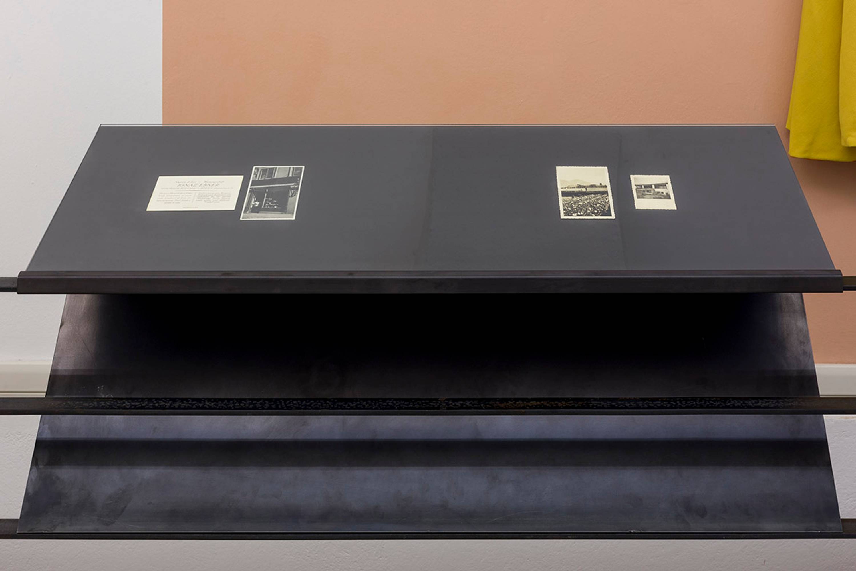 Paul Thuile, selection of the exhibition Serra III, curated by Paul Thuile at Gärtnerei Schullian Floricultura, courtesy Famiglia Ebner. Photo Guadagnini ©argekunst