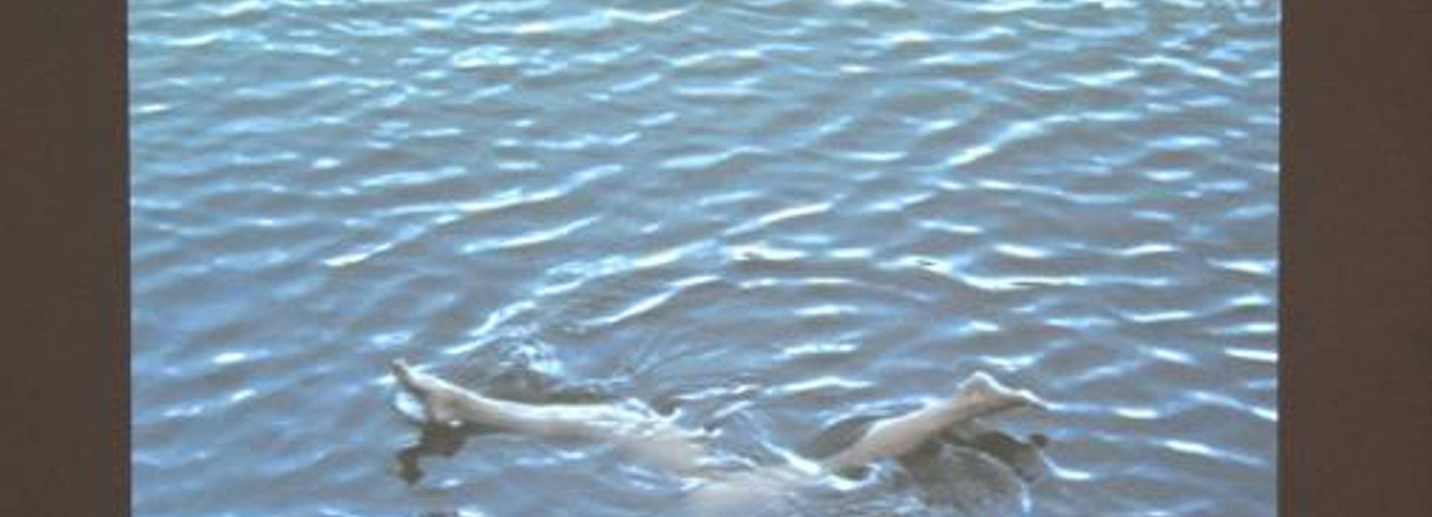 Exhibition view, Ophelia's World, Asta Gröting, 2007