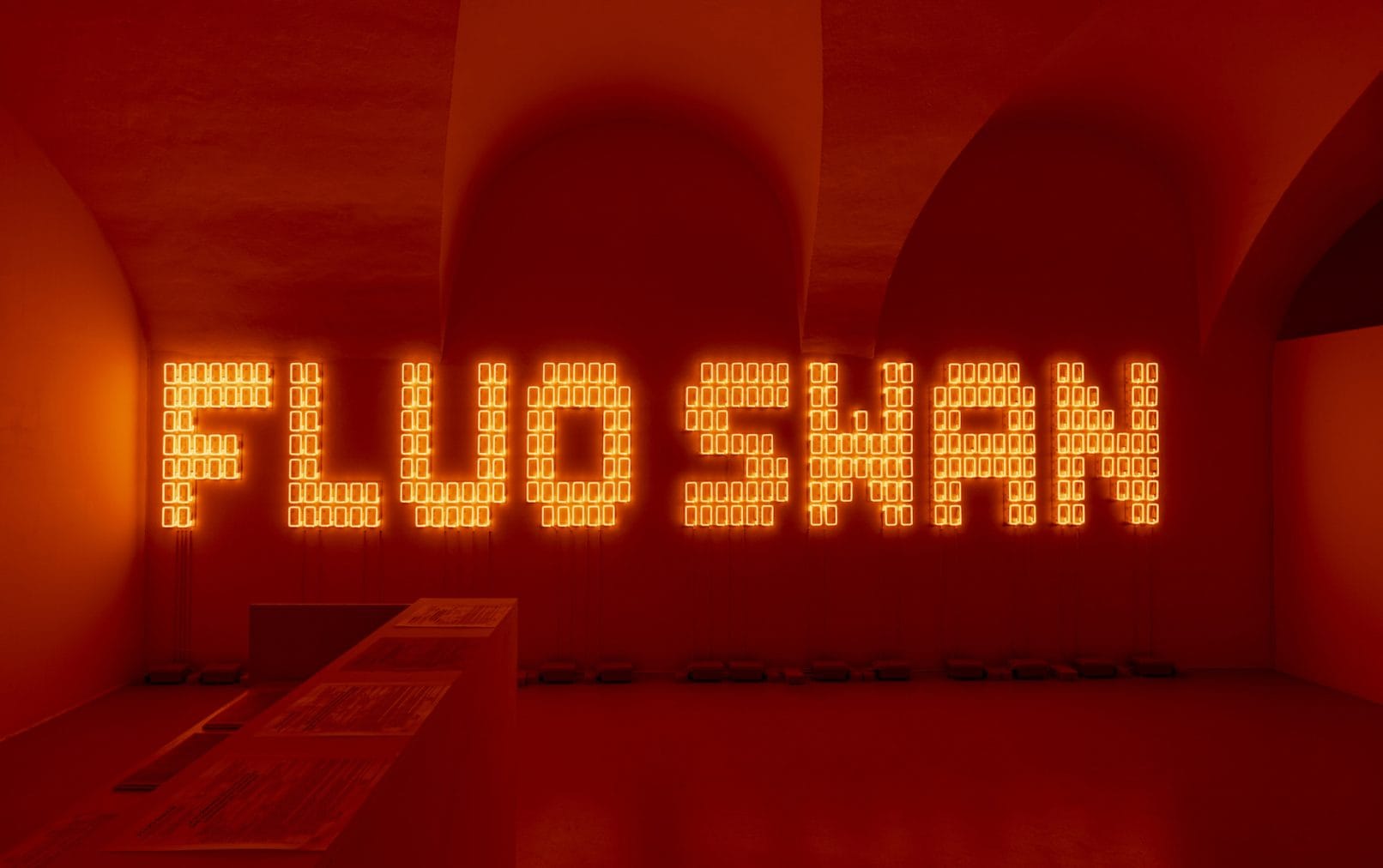 ANNA SCALFI EGHENTER. THE FLUO SWAN. / curated by Francesca Verga e Zasha Colah, 19.09.2024 – 29.11.2024, AR/GE Kunst, Via Museo 29, Bolzano / ph. Ela Bialkowska