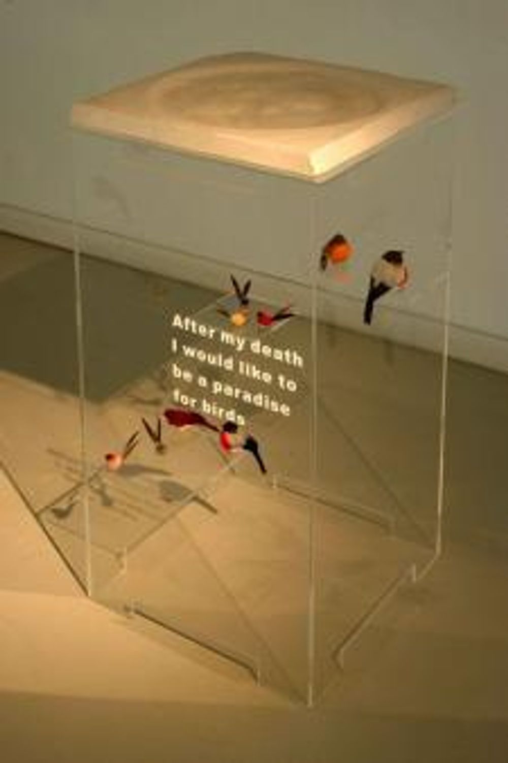 Exhibiton view, Martin Gostner, 2005