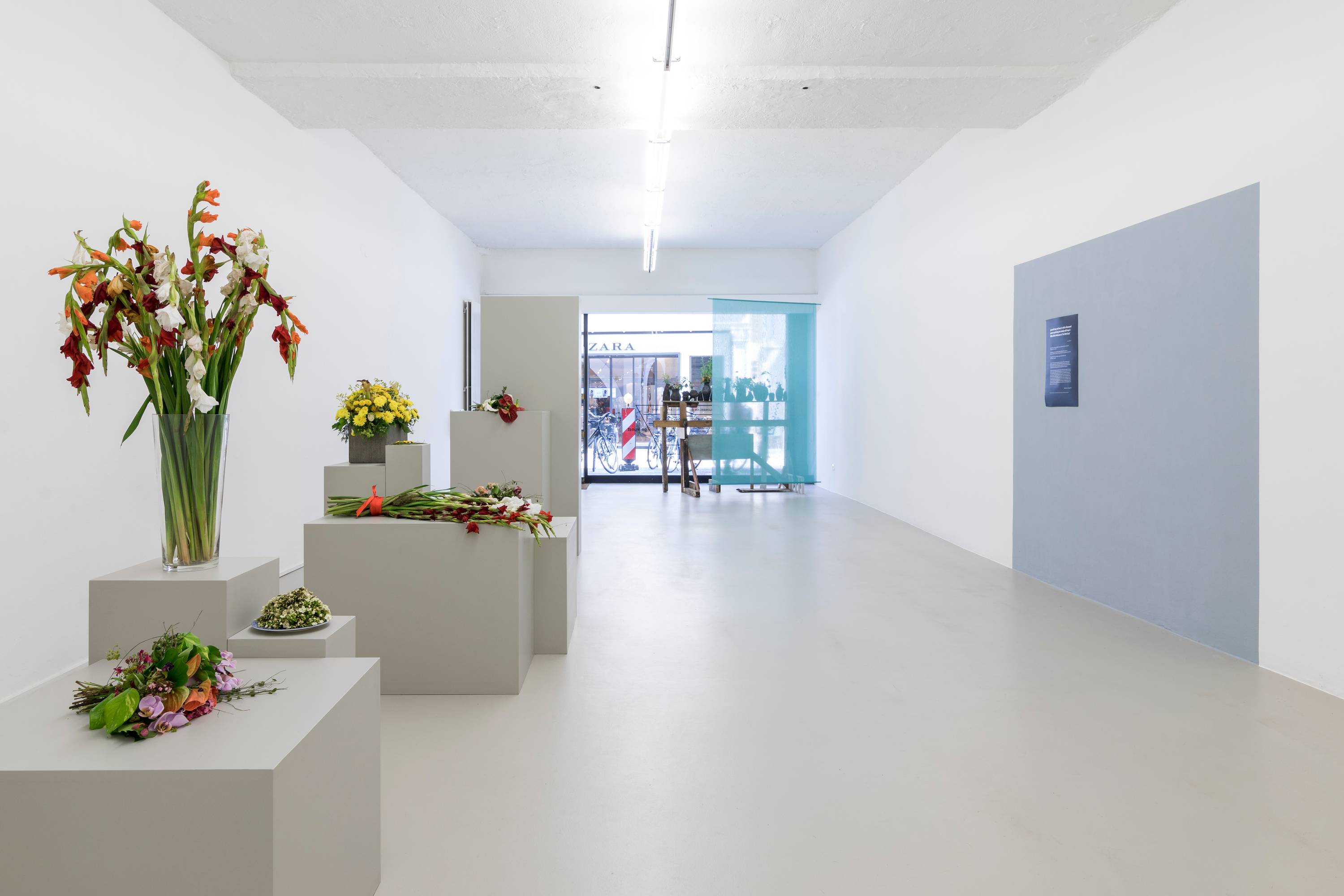 Ausstellungsansicht des 01.06.2017, Foto Guadagnini e Sorvillo ©argekunst