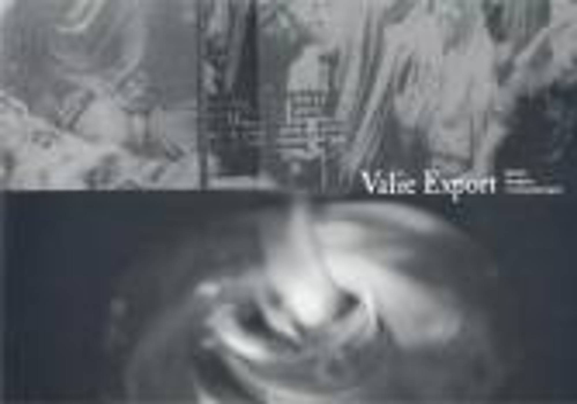 VALIE EXPORT – BOZEN-BREGENZ