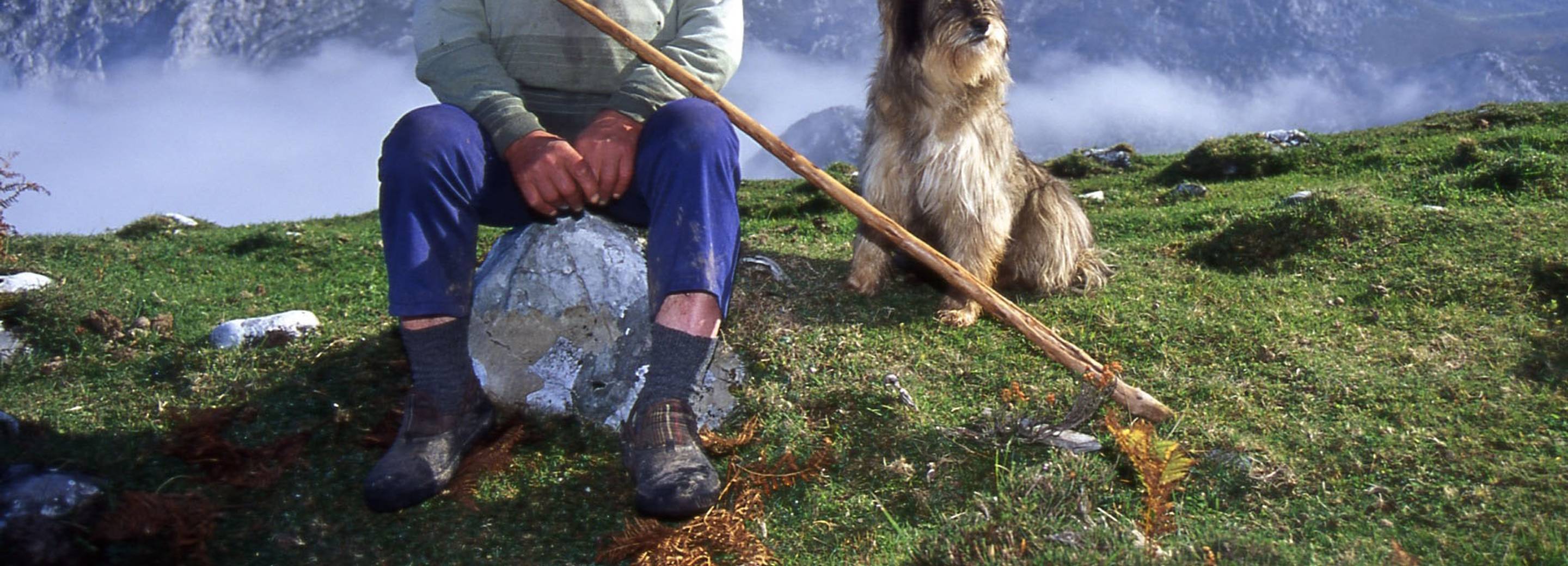 Inland, Shepherd School, ( 2004 - ongoing)