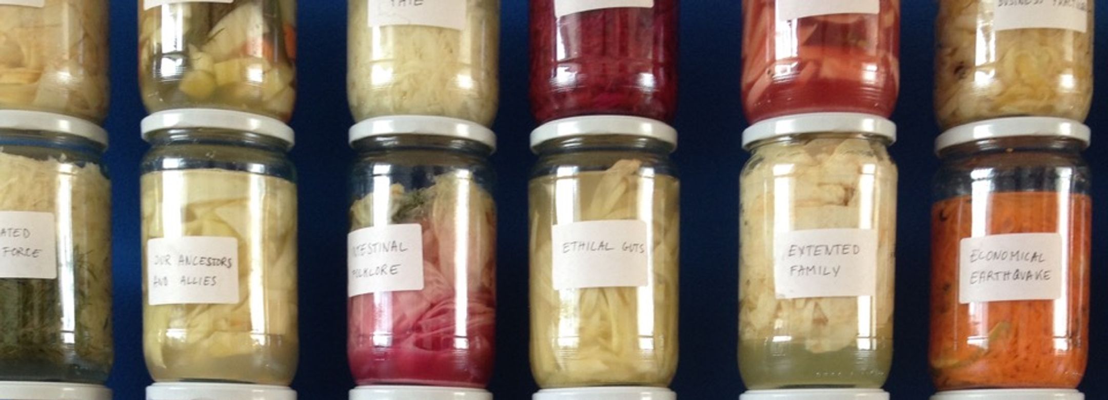 Image: Daniel Salomon, The Politics of Fermentation, 2015