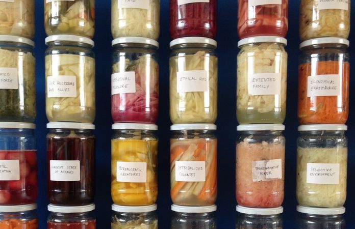 Image: Daniel Salomon, The Politics of Fermentation, 2015