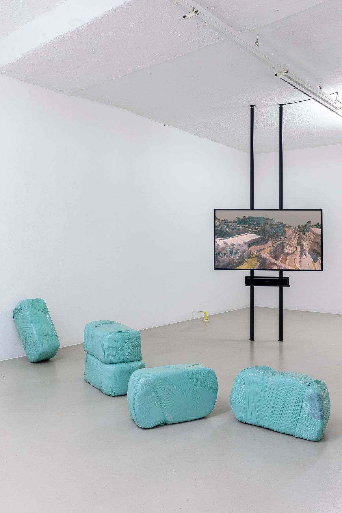 Katrin Hornek, Plant Plant, exhibition view, ©ar/ge kunst and BAU, photo Luca Guadagnini, 2021