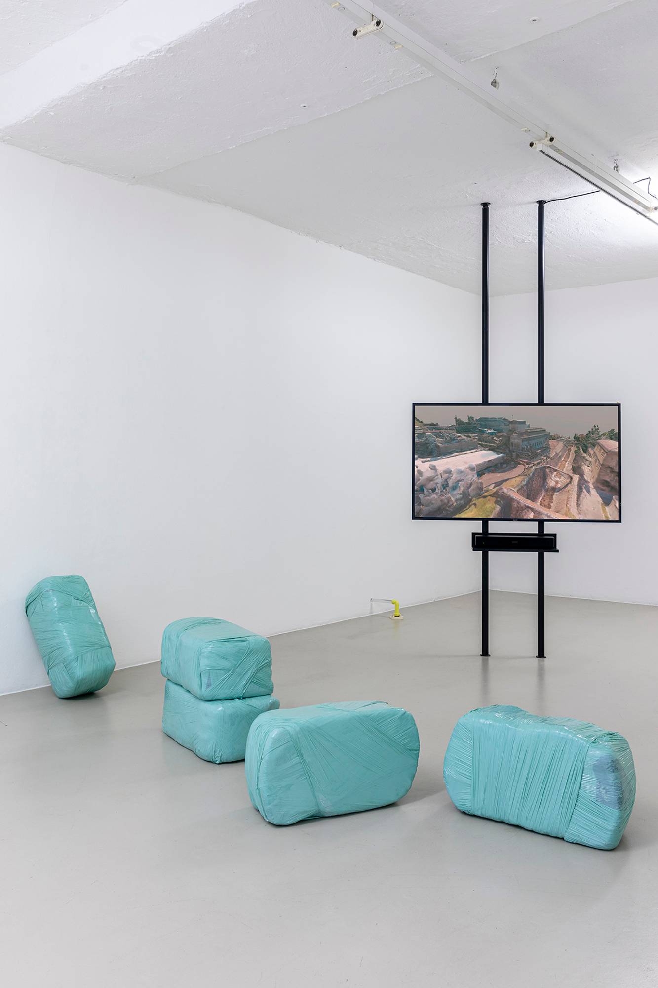 Katrin Hornek, Plant Plant, exhibition view, ©ar/ge kunst and BAU, photo Luca Guadagnini, 2021