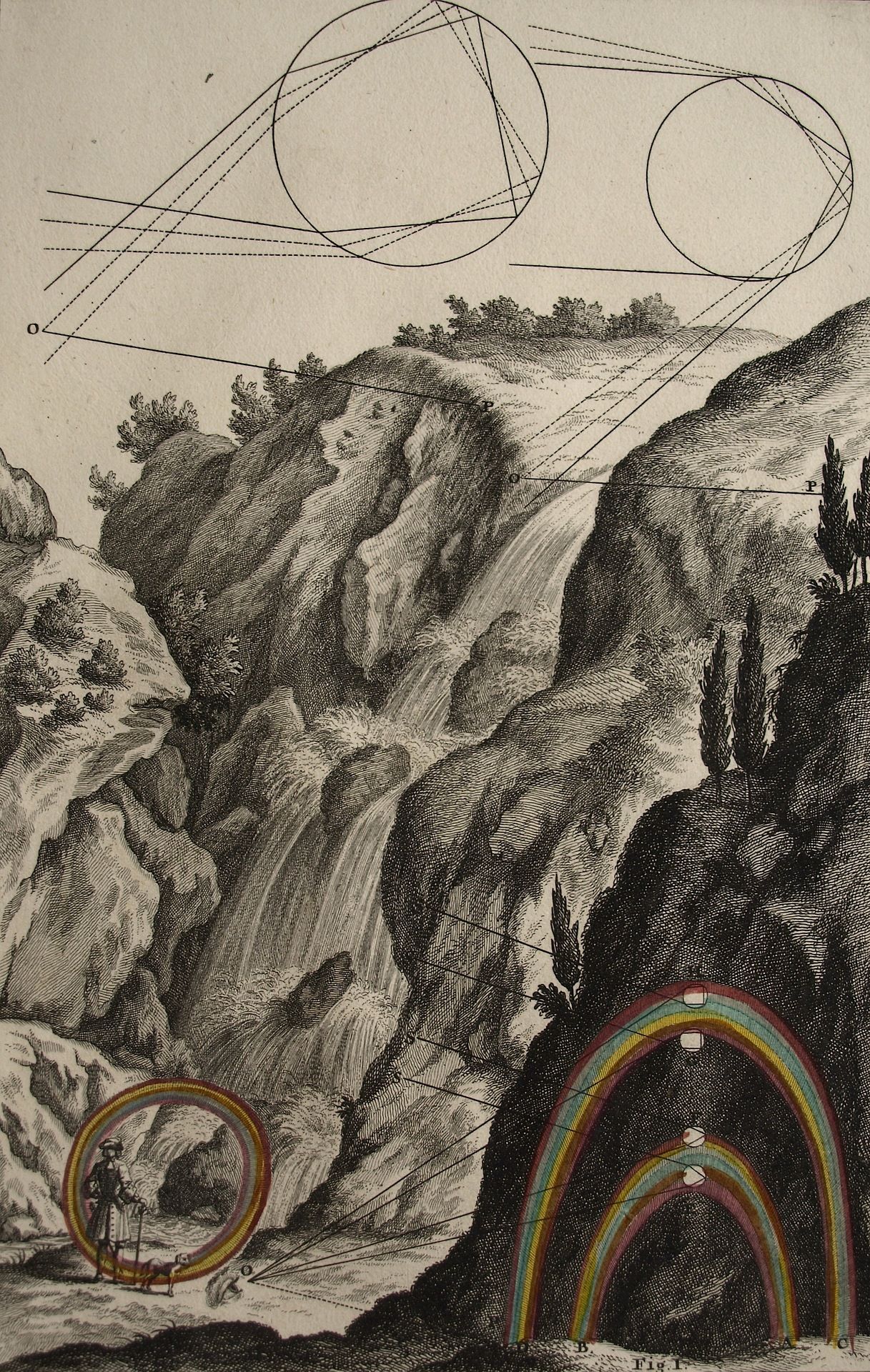 research Image: Plate LXVI from Johann Jakob Scheuchzer’s Physica Sacra (1731) - Source: Wikimedia Commons