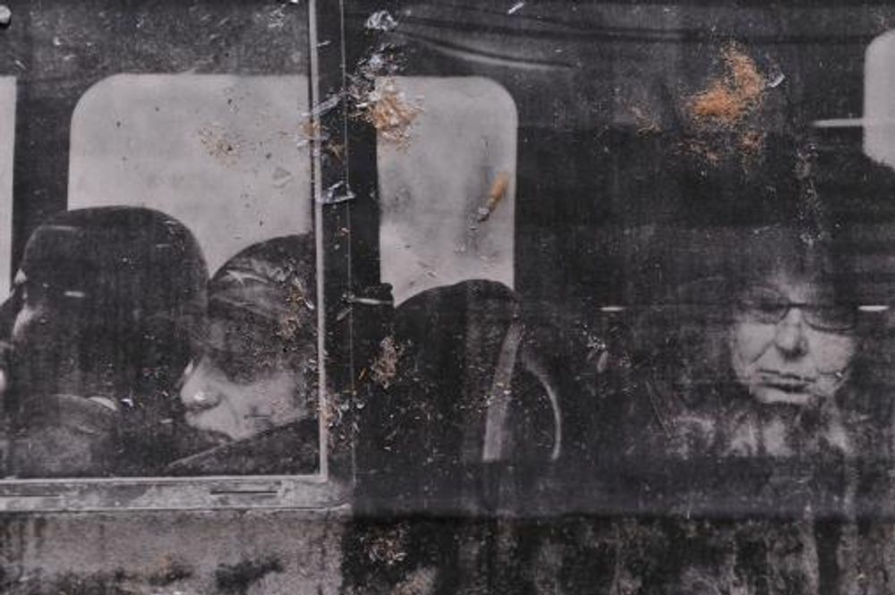 Rob Johannesma, Newspapers 2012