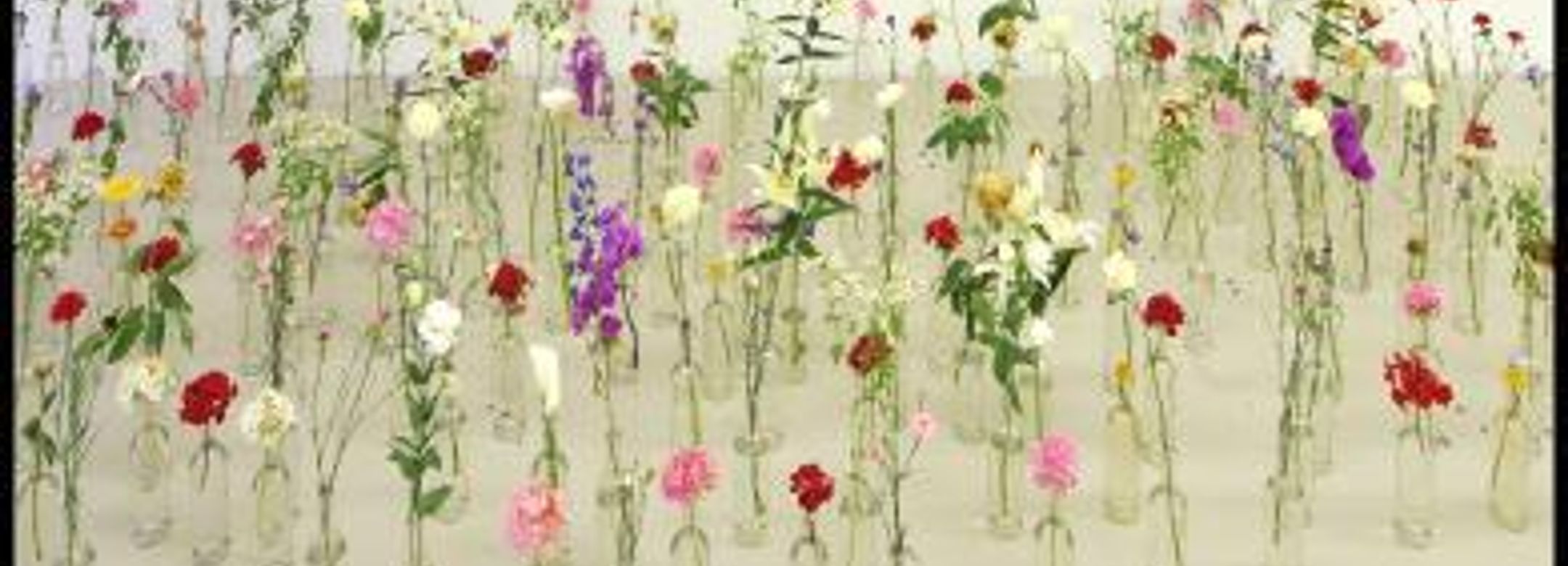 Exhibition view, Flora, 2008