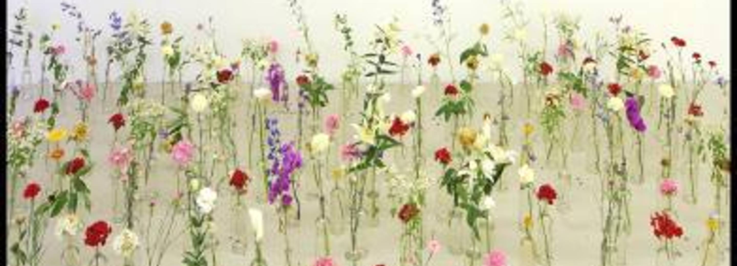 Exhibition view, Flora, 2008