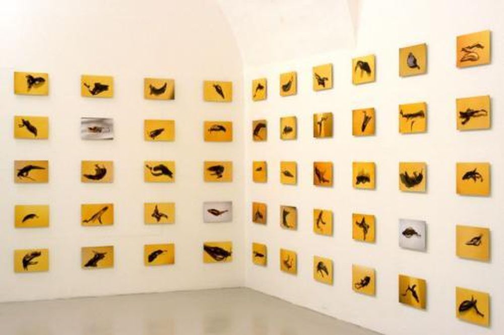 Exhibiton view, Brigitte Mahlknecht, 2004