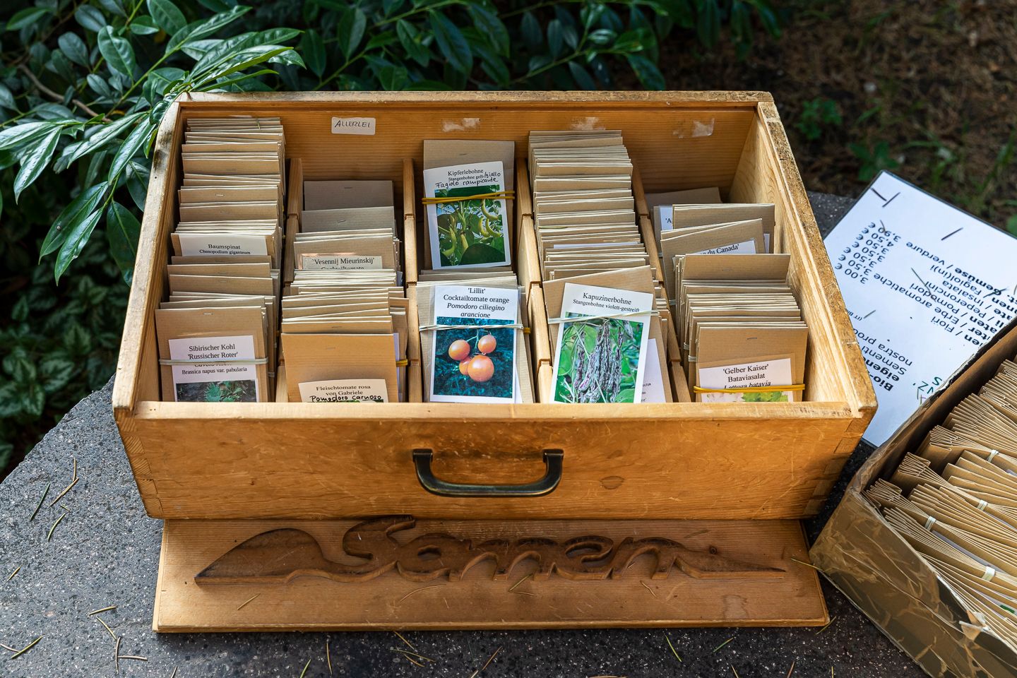 Workshop, savoir-vivre #3, Seed Workshop with Elisabeth Kössler, 26.06.2019 in the framework of the exhibition CACHE (Insurance Policy) by Jumana Manna © ar/ge kunst. Foto: Tiberio Sorvillo
