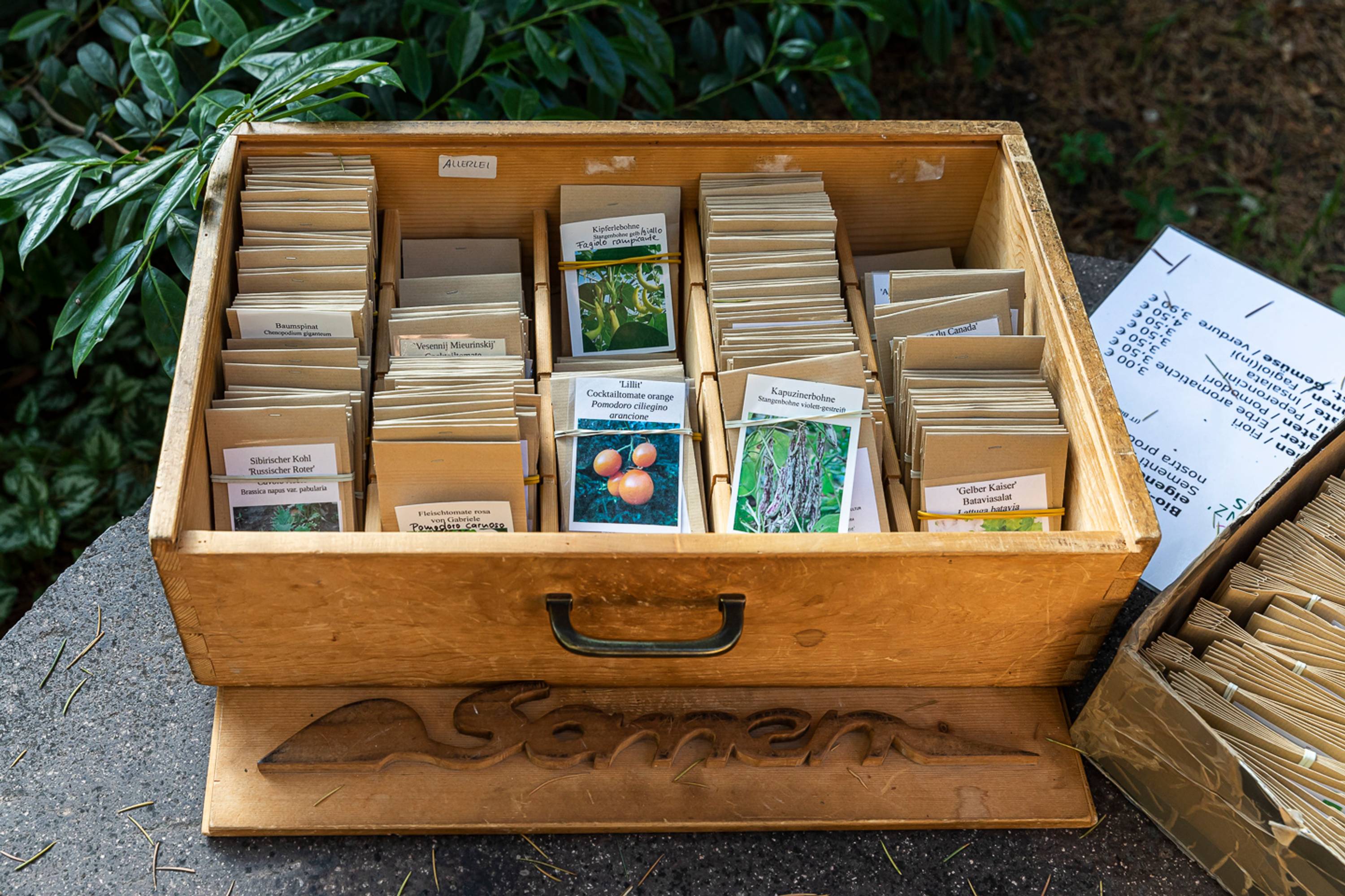 Workshop, savoir-vivre #3, Seed Workshop with Elisabeth Kössler, 26.06.2019 in the framework of the exhibition CACHE (Insurance Policy) by Jumana Manna © ar/ge kunst. Foto: Tiberio Sorvillo