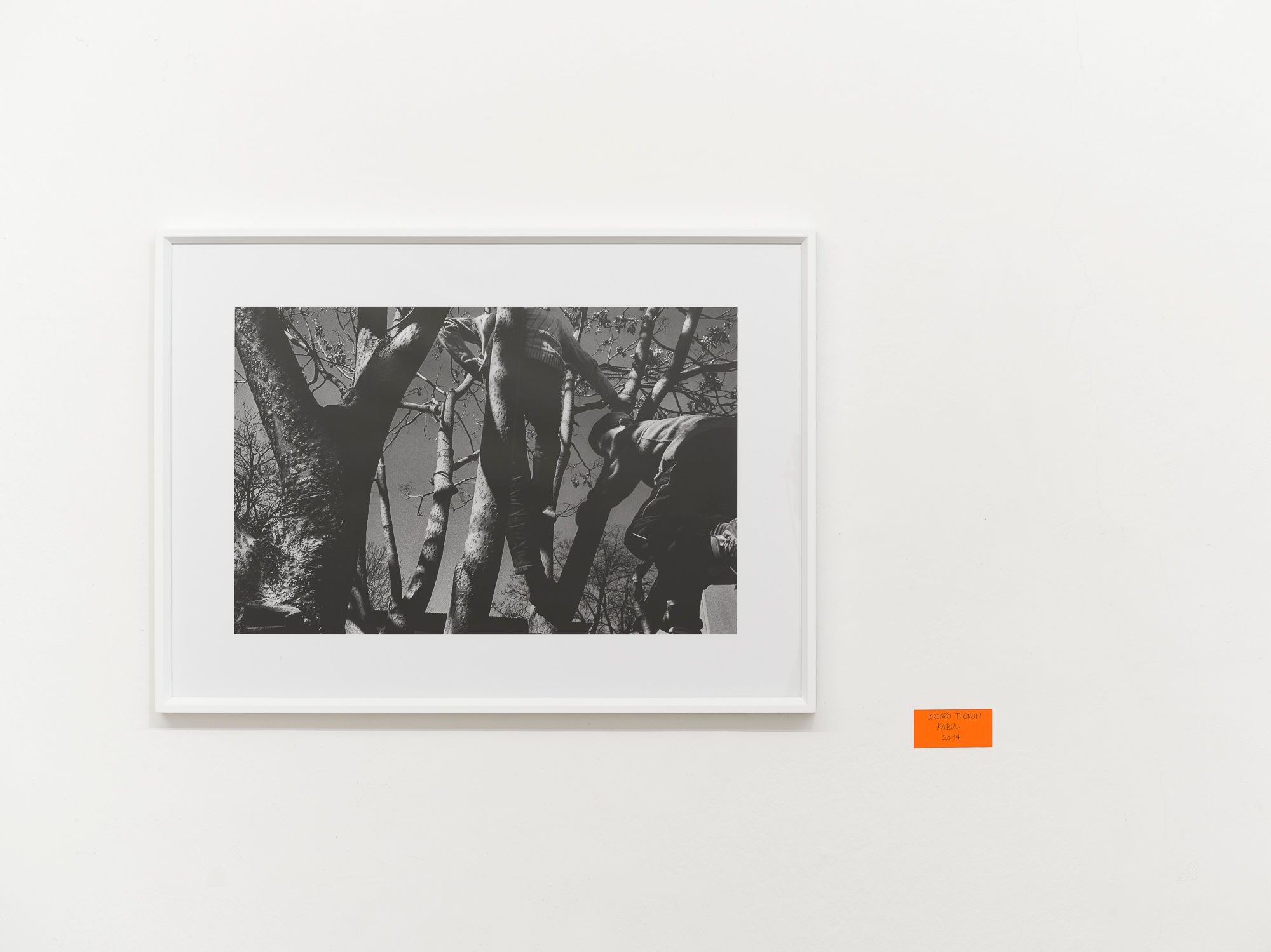 Lorenzo Tugnoli, Il Paese di dopodomani, Exhibition view, Ar/Ge Kunst, 2025. Foto Tiberio Sorvillo.