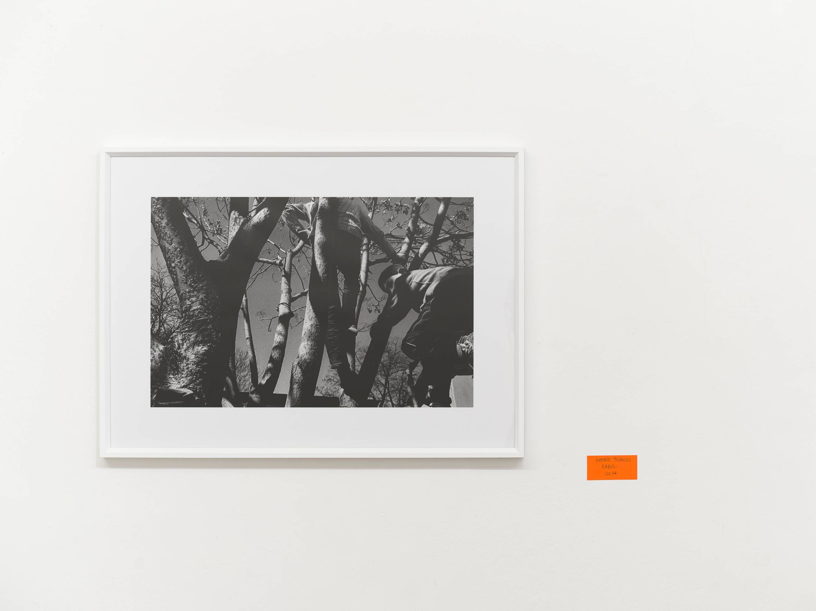 Lorenzo Tugnoli, Il Paese di dopodomani, Exhibition view, Ar/Ge Kunst, 2025. Foto Tiberio Sorvillo.