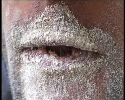 Exhibiton view, Othmar Prenner, 2003