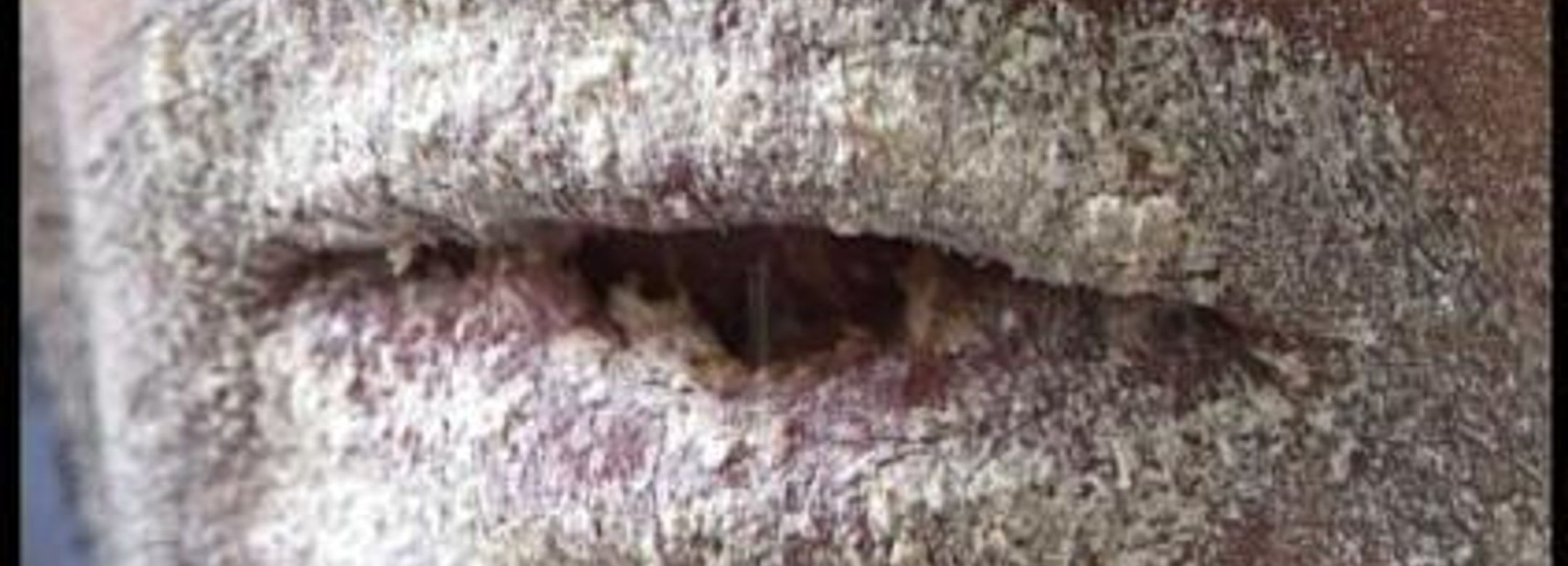 Exhibiton view, Othmar Prenner, 2003