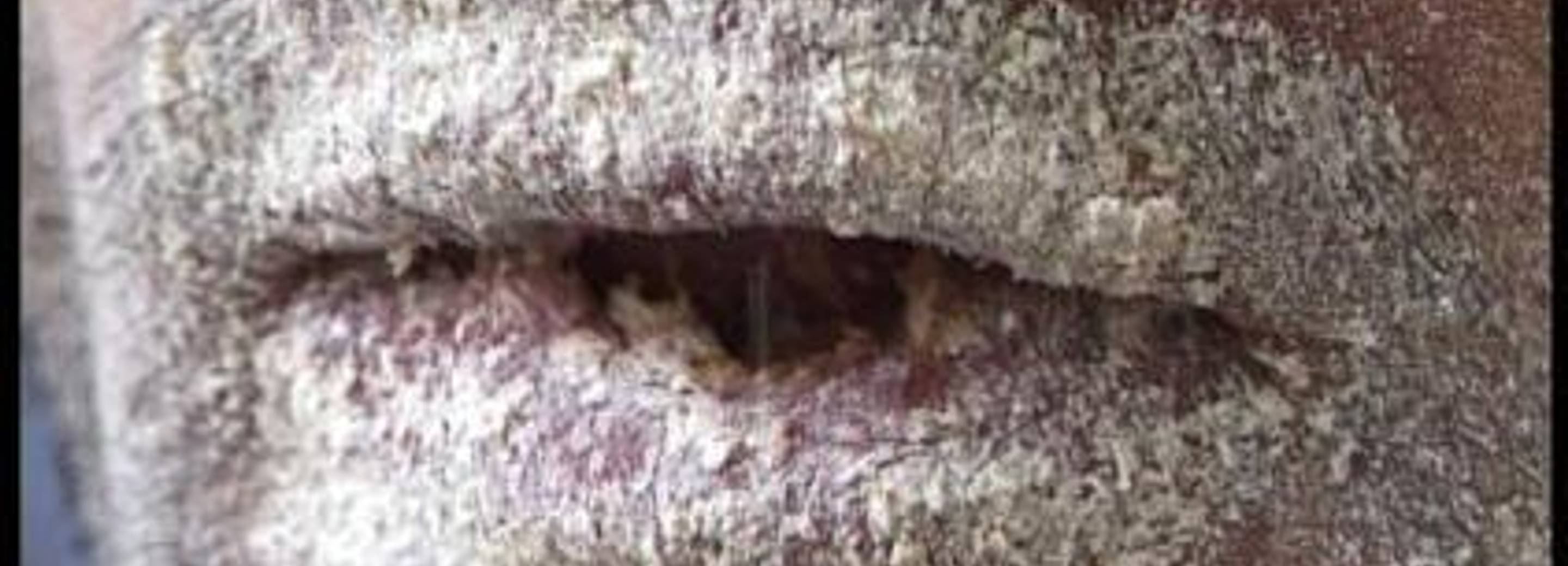 Exhibiton view, Othmar Prenner, 2003