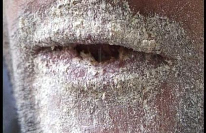 Exhibiton view, Othmar Prenner, 2003