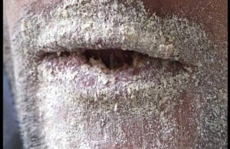 Exhibiton view, Othmar Prenner, 2003