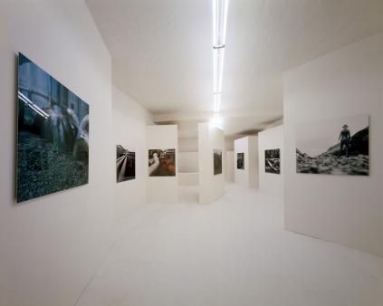 Exhibition view, Josef Rainer, 2004