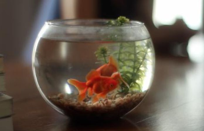 Alejandro Cesarco, Methodology, HD video with sound, 7 minutes, 2011