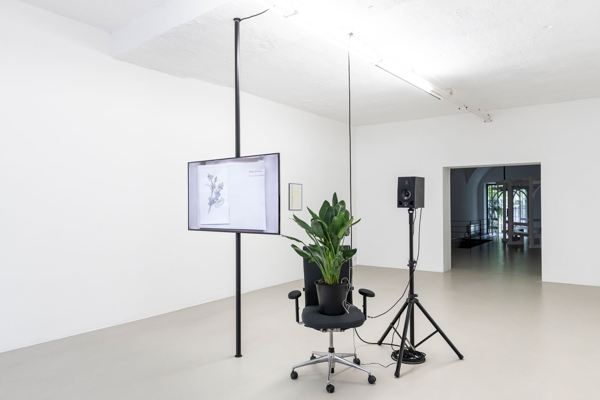 Mohamed Bourouissa „Brutal Family Roots“©ar/ge kunst, Foto Tiberio Sorvillo, 2020