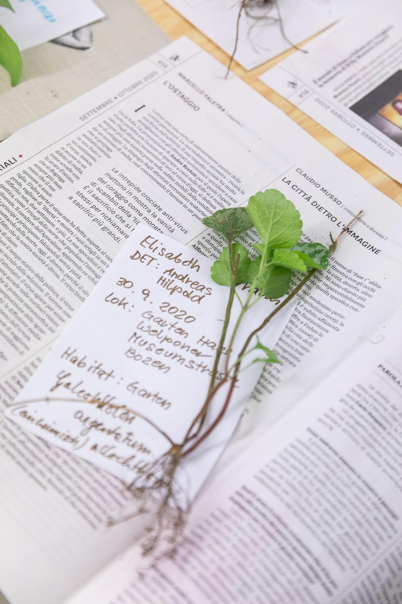 ©ar/ge kunst, Foto Luca Guadagnini, 2020