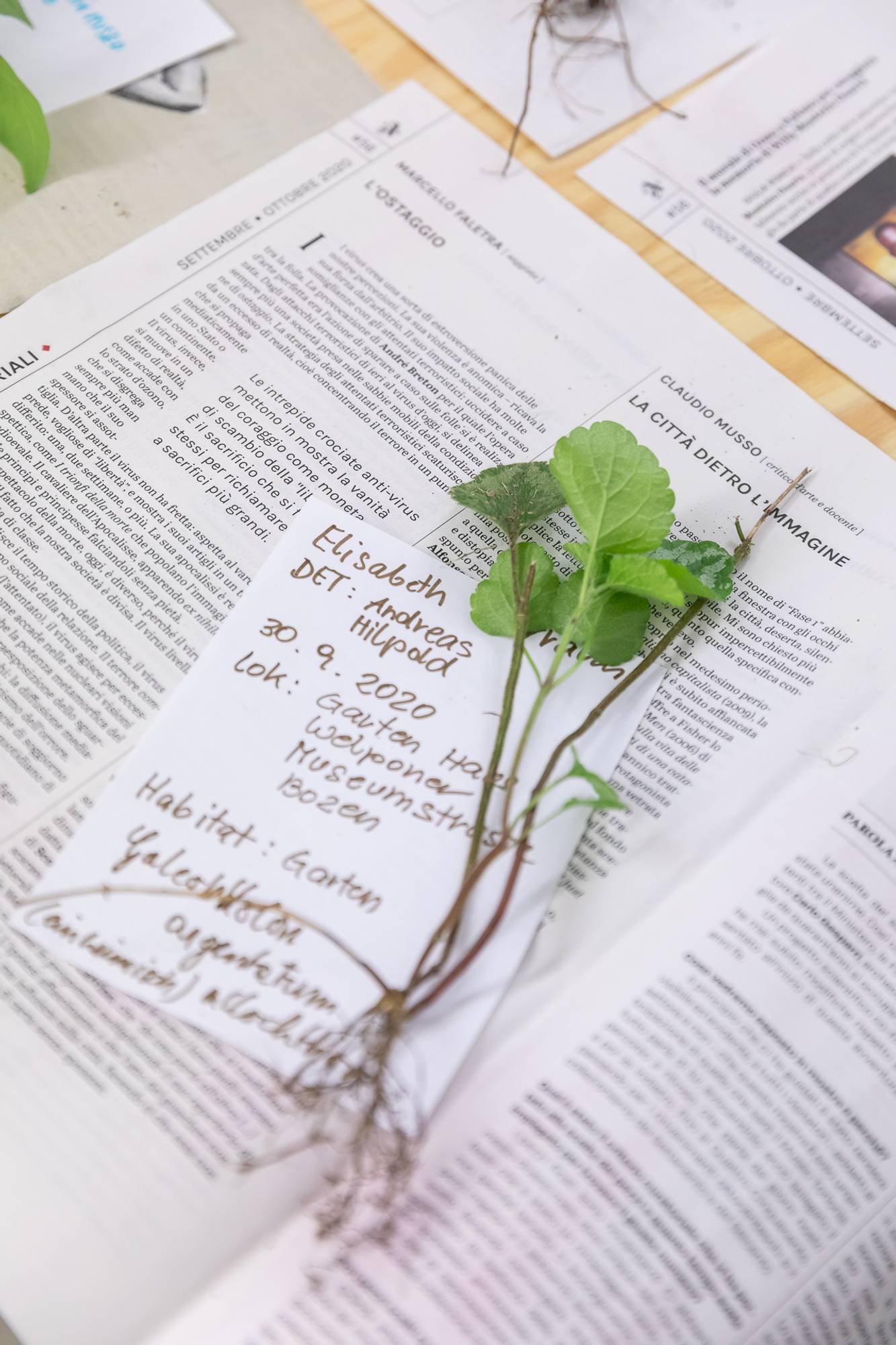 ©ar/ge kunst, Foto Luca Guadagnini, 2020