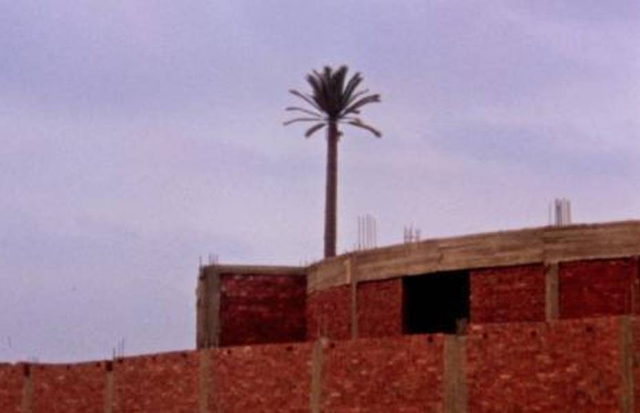 Basim Magdy, My Father Looks for an Honest City, video still (2010)