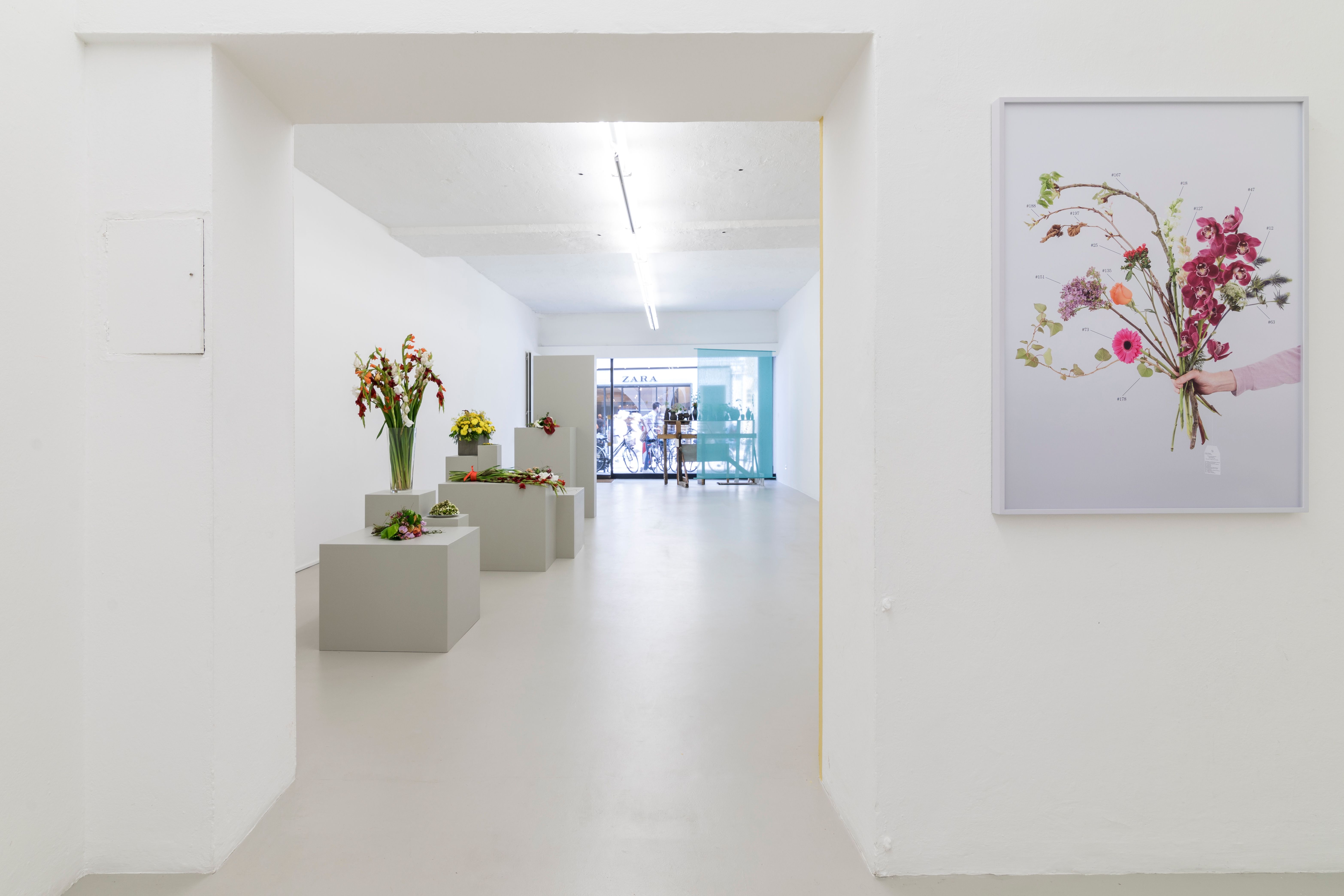 Ausstellungsansicht des 01.06.2017, Foto Guadagnini e Sorvillo ©argekunst